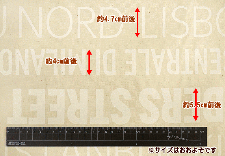 思考囲い foil 英語 4枚