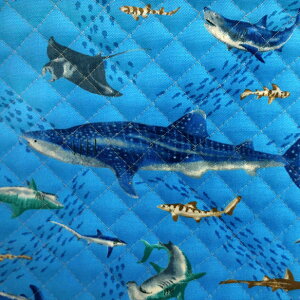 海 布の人気商品・通販・価格比較 - 価格.com