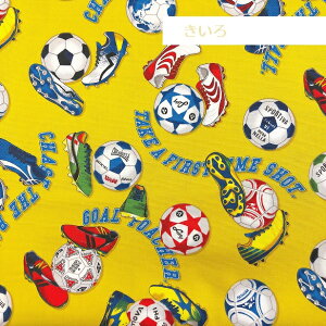 IbNXn TbJ[{[ƃXpCN TbJ[ soccer tbgT ^ ʉn ʉ ʉobN   n TbJ[ j̎q qTbJ[ ʉʊw bX