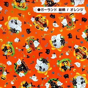 V[`O n nEB 2025 K[h z XNGA ΂ X^[ pvL gbNIAg[g WbNI[^ | N L  َq ڂ RE