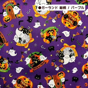 V[`O n nEB 2025 K[h z XNGA ΂ X^[ pvL gbNIAg[g WbNI[^ | N L  َq ڂ RE