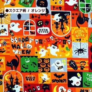 V[`O n nEB 2025 K[h z XNGA ΂ X^[ pvL gbNIAg[g WbNI[^ | N L  َq ڂ RE