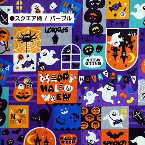 V[`O n nEB 2025 K[h z XNGA ΂ X^[ pvL gbNIAg[g WbNI[^ | N L  َq ڂ RE