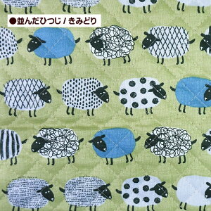 LeBOn 񂾂Ђ qcW Ђ qcW ݃J[ ͗l z ʉ ʊw  킢 Lgn / [֔z50cm܂