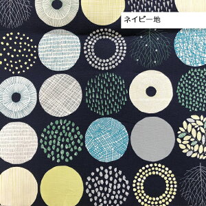 IbNX n k yBIGzۂ̖͗l t t hbg   􉽊w͗l _ T[N 菑 Vv Vvh i` Jȕ炵 nhCh n k 100 z 