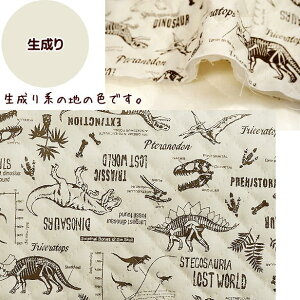 LeBO n  2  i  bXobOn   j̎q { 񂰃obO  lC WVbN _Ci\[   ʉ ʊw |