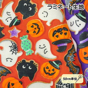 ~l[gn nEB ƃLfB   ΂ pvL gbNIAg[g WbNI[^ X^[ | w偂̑ L َq ڂ RE Halloween n