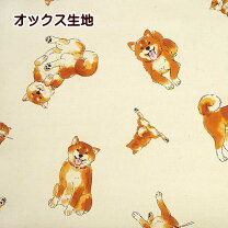 楽天市場】生地 柴犬 おむすびの通販
