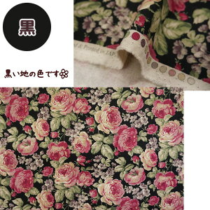 ȖLoXn NVJ KNƏ KN | Ȗn Ȗ LoX n  ΂ KN o 