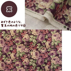 ȖLoXn NVJ KNƏ KN | Ȗn Ȗ LoX n  ΂ KN o 