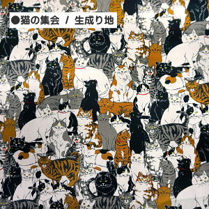 IbNX n L̏W L lR ɂ Lbg 100% z | cat 50cmP ؂蔄 L