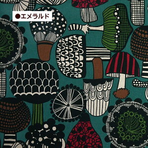 Ȗ LoX n k k̐X ̂ vgn LmR z |