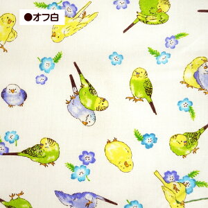 V[`O n CRƂ  CR   o[h 100% | Rbg 킢 Aj}vg w ʉʊwp