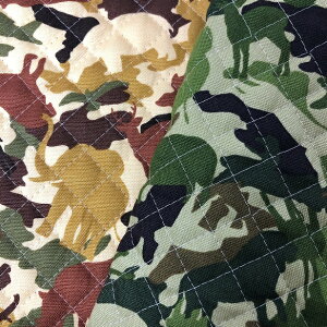 LeBOn ̖ Tt@  j̎q  w ʉ ʊw | n 50cm܂Ń[։ bXobN  Lg