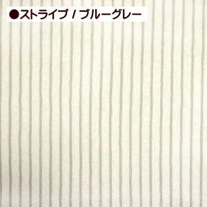 X[Xjbgn XgCv hbg X[X jbg n | Ԃ xr[ X^C zcJo[  xr[pi