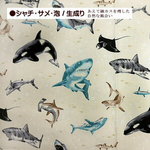 IbNX n V` T C̖A L ߕ  C̐ 100% ʉʊw w Rbg | j̎q  bXobO