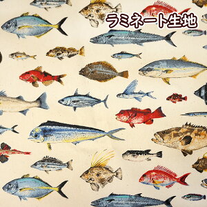 魚 生地の通販 価格比較 価格 Com