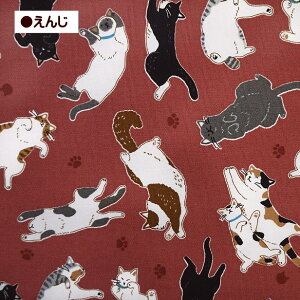 IbNX n Sɂ ւojR L  100 z | 킢 ˂ lR L ɂ CAT jR