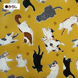 IbNX n Sɂ ւojR L  100 z | 킢 ˂ lR L ɂ CAT jR