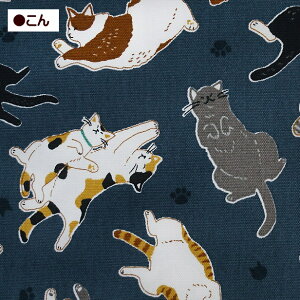 IbNX n Sɂ ւojR L  100 z | 킢 ˂ lR L ɂ CAT jR