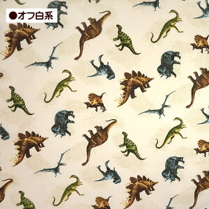  n e CB|vn V_A u[hn ~j~j LbYvg ʉ ʊw  w 40Su[hn 100 z | 킢 j̎q 