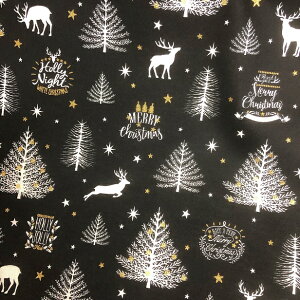 V[`O n ƂȃNX}X  NX}Xc[ vg S[h Vv vg | Xmas Christmas