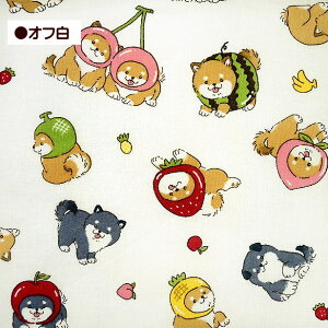 V[`O n t[cXq̎Č Ԃ  RXv ăR q Č t[c ʕ   R 蕨   oii  100% | Rbg 킢 A