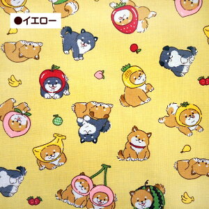 V[`O n t[cXq̎Č Ԃ  RXv ăR q Č t[c ʕ   R 蕨   oii  100% | Rbg 킢 A