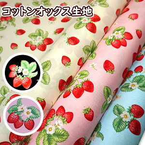 IbNXn tt A Ɖ RbgIbNX 100 n z| Xgx[  C`S ̎q ʉ ʊw  w