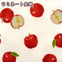 楽天市場 ラミネート 生地 つや消し 並んだバナナ ミニ柄 ラミネート生地 バナナ 手芸 手芸レースのフェアリーレース