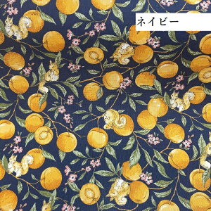 V[`O n AeB[N X AvRbg  X VbN A[k[{[  G  i` Vv  { AeB[Nt[ AeB[NJ[