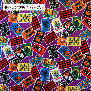 V[`O n nEB gv VGbg  ΂ pvL gbNIAg[g WbNI[^ X^[ | [ N L  َq ڂ RE 