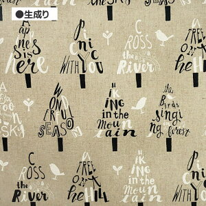 Ȗ n k  c[  X  n~Oo[h 45 55 n ȃJXc z VbN 