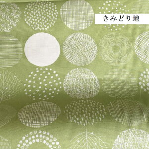 IbNX n k yBIGzۂ̖͗l t t hbg   􉽊w͗l _ T[N 菑 Vv Vvh i` Jȕ炵 nhCh n k 100 z 