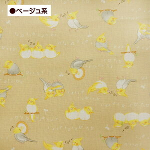 V[`O n CRƉ ŷ    100% | Rbg 킢 Aj}vg ӂӂth