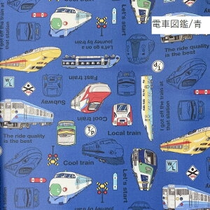 ~l[g n dԐ} BS d @֎ V  ʉ ʊw  j̎q z | 蕨  ~l[gn hN^[CG[ sd