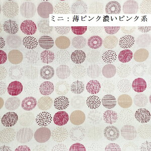 V[`O n k yminizۂ̖͗l t t hbg   􉽊w͗l _ T[N 菑 Vv Vvh i` Jȕ炵 nhCh n k 100 