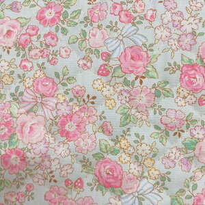 LeBO n t[{ {Ƃ h[t[ sNn  Lg { ԕ 100 z | LeBOn   ԕ obO ʉʊw { / 50cm܂Ń