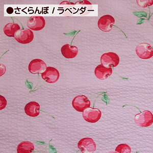 bvn ڕ t {{[_[ 100 z n | `F[ TN{ { bv r ߒn 䂩 pW}  ̎q