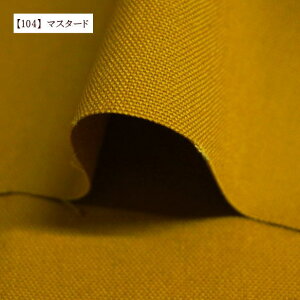 11 z n n nv 100 z  ݃J[ ԃJ[