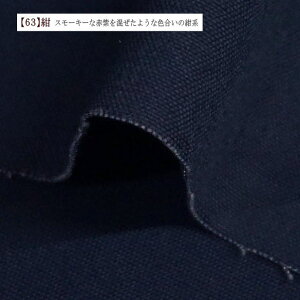 11 z n n nv 100 z  ݃J[ ԃJ[