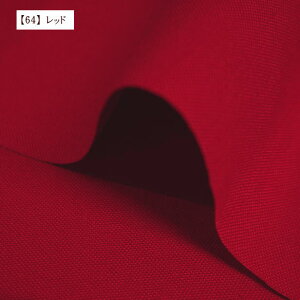 11 z n n nv 100 z  ݃J[ ԃJ[