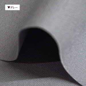 11 z n n nv 100 z  ݃J[ ԃJ[