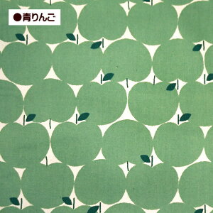 IbNX n hbg݂  APPLE Abv S ь ȃJX 100 z |