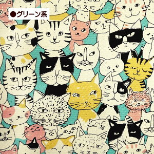 IbNX n ` R~J jR ɂ L ʔ j[N Aj} NRbg 100 z | 킢 ˂ lR L CAT