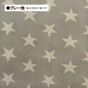 ȖLoXn 4cm̐  啿  ق   | z Rbgl 80 20 Vv  ȃJX Ȗ LoX n ʉ ʊw