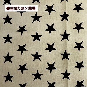 ȖLoXn 4cm̐  啿  ق   | z Rbgl 80 20 Vv  ȃJX Ȗ LoX n ʉ ʊw