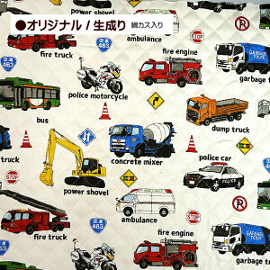 LeBOn  蕨 Hԗ j̎q bXobOn  ʉ ʊw  w ͂炭 ً}ԗ h bXobO LeBO n pgJ[  ~