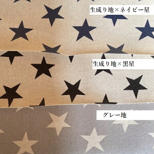 ~l[gn 4cm̐  啿 F Vv  l ȃJX q K bXobN nhCh   lCr[ ʉʊw