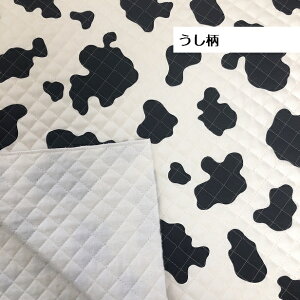 LeBO n LeBOn Aj}  qE Ip[h | n 100%  Aj} Vv  100 z | bXobO ʉ ʊw  w 50cm܂
